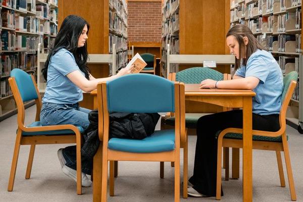 students studying in library 